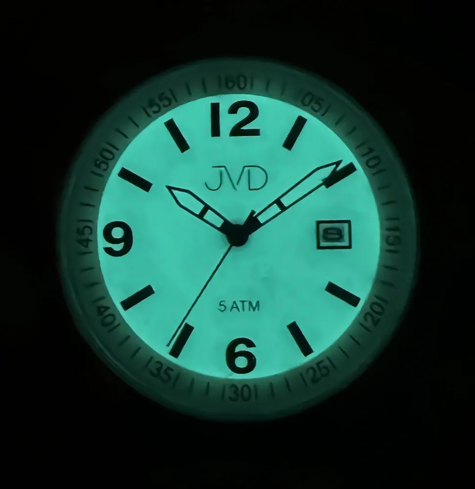 JVD Pánské ocelové voděodolné hodinky JVD J1132.3