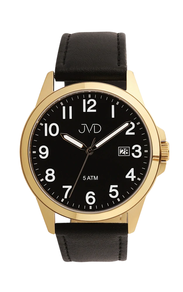 Pánské voděodolné ocelové náramkové hodinky JVD J1131.7